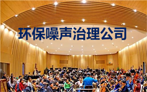 環(huán)保噪聲治理公司